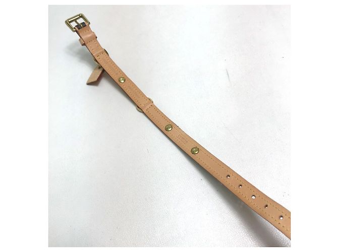Louis Vuitton Monogram Collier Baxter PM Dog Collar Brown - view 12