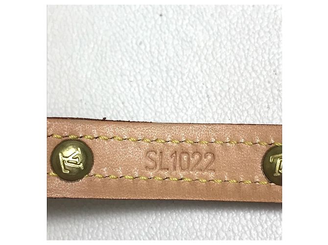 Louis Vuitton Monogram Collier Baxter PM Dog Collar Brown - view 14