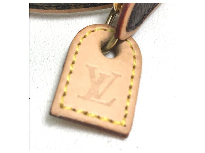 Louis Vuitton Monogram Collier Baxter PM Dog Collar Brown - view 4