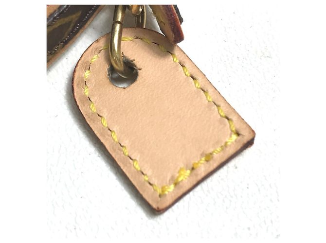 Louis Vuitton Monogram Collier Baxter PM Dog Collar Brown - view 5
