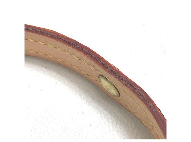 Louis Vuitton Monogram Collier Baxter PM Dog Collar Brown - view 6