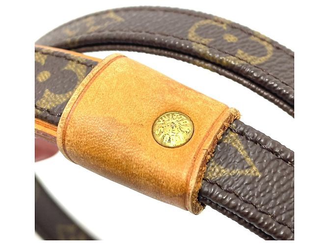 Laisse Baxter MM Monogram Louis Vuitton Marron Monogramme - vue 4