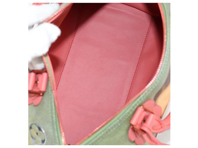 LOUIS VUITTON Collezione Masters DA VINCI Borsa Speedy 30 M43372 Auth ar13671SM Rosa - vista 10