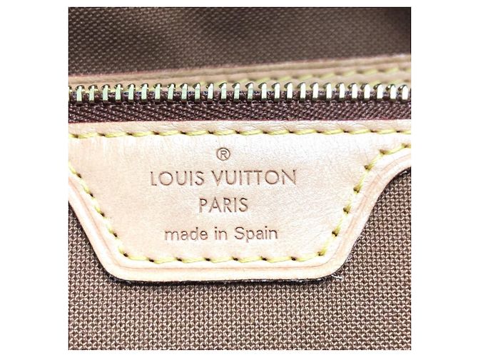 Borsa tote Louis Vuitton Monogram All In PM Marrone Multicolore Monogramma - vista 15