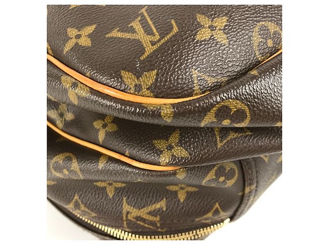 Borsa 2 in 1 Louis Vuitton Monogram Alize 24 Van Quatre Marrone - vista 7