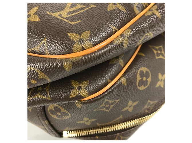 Borsa 2 in 1 Louis Vuitton Monogram Alize 24 Van Quatre Marrone - vista 8