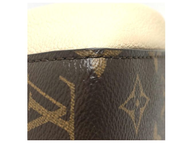 Bolso Ford Tote PM Monograma Louis Vuitton Castaño - vista 5
