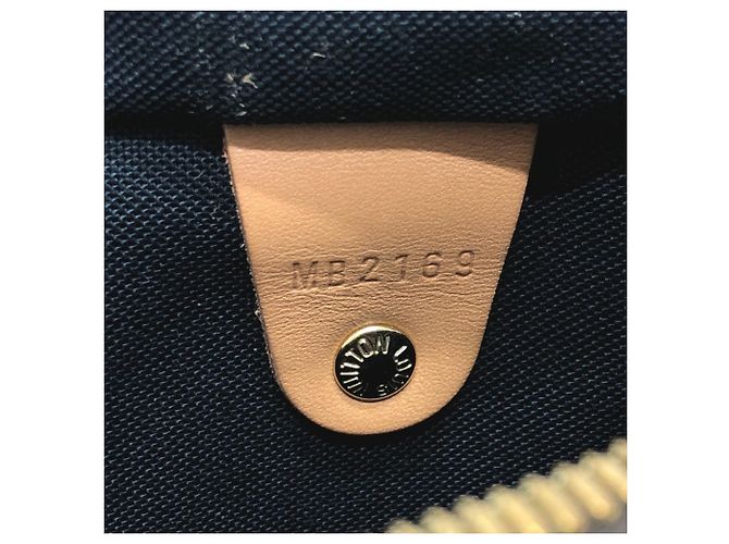 Speedy Borsa Boston Mini Bandoulière 30 Monogramma Gigante Louis Vuitton Marrone - vista 14