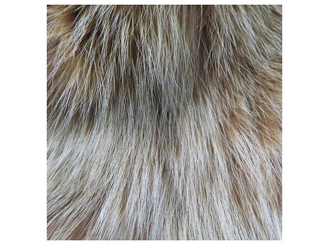 Fendi Zucca Pattern Fox Bucket Hat Brown - view 7
