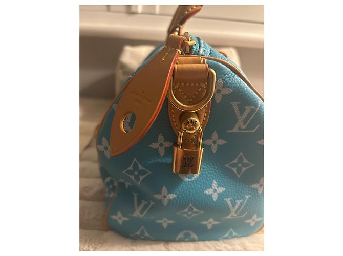 Louis Vuitton Borsa a Tracolla Speedy P9 25 Blu - vista 11