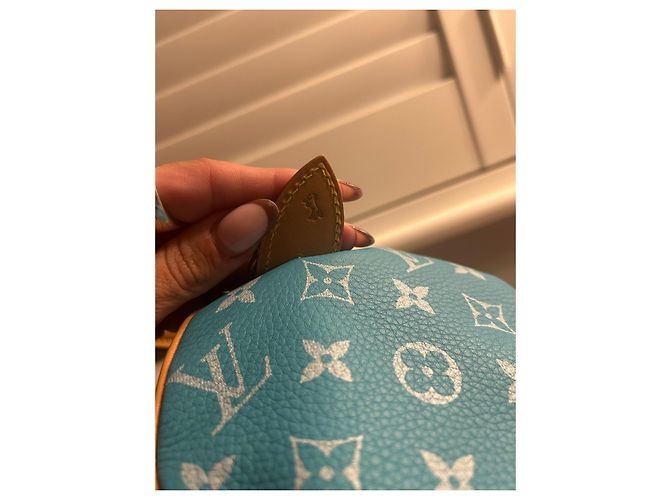 Louis Vuitton Borsa a Tracolla Speedy P9 25 Blu - vista 14