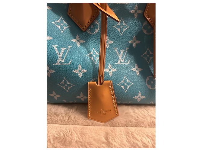 Louis Vuitton Borsa a Tracolla Speedy P9 25 Blu - vista 18