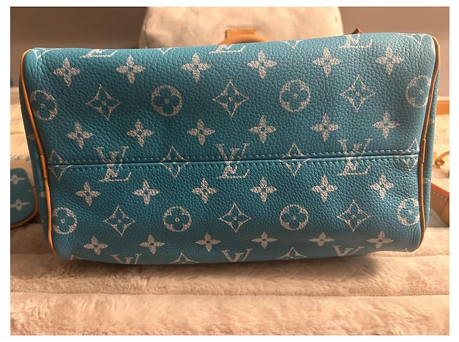 Louis Vuitton Borsa a Tracolla Speedy P9 25 Blu - vista 19