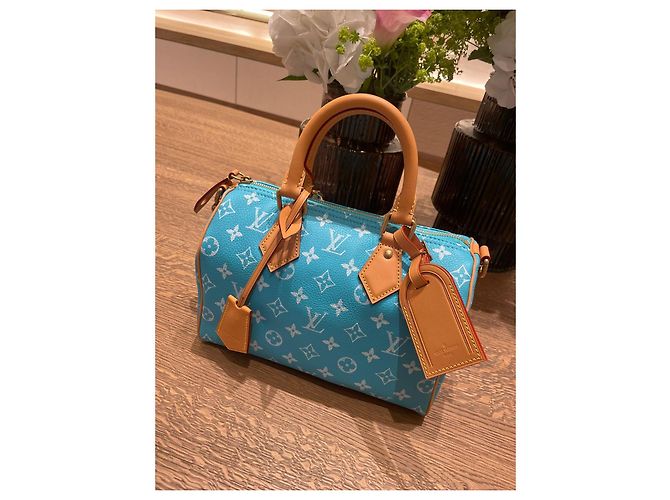 Louis Vuitton Borsa a Tracolla Speedy P9 25 Blu - vista 2