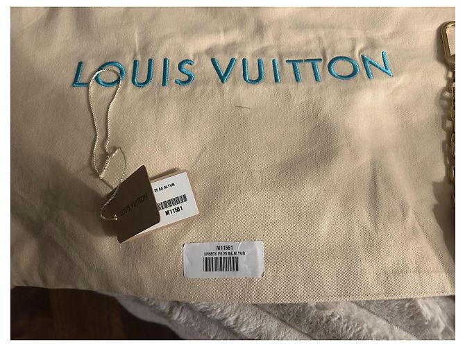 Louis Vuitton Borsa a Tracolla Speedy P9 25 Blu - vista 5