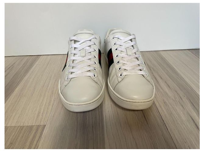 Sneaker Gucci Ace in pelle bianca Bianco - vista 3