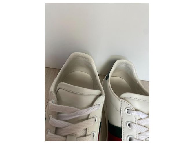 Sneaker Gucci Ace in pelle bianca Bianco - vista 4