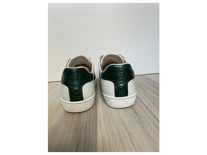 Sneaker Gucci Ace in pelle bianca Bianco - vista 5