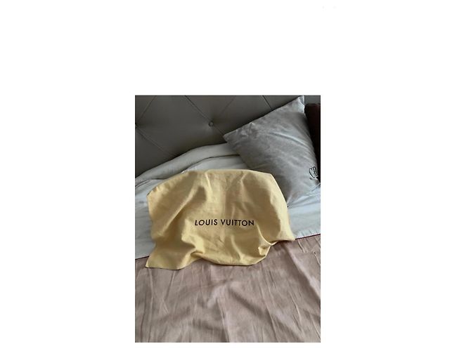 Bolso Louis Vuitton Alma Monograma Cuero Marrón Oscuro - vista 11