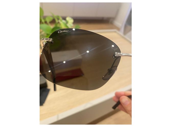 Occhiali da sole Cartier CT0227S Metallo Nero Argento - vista 14