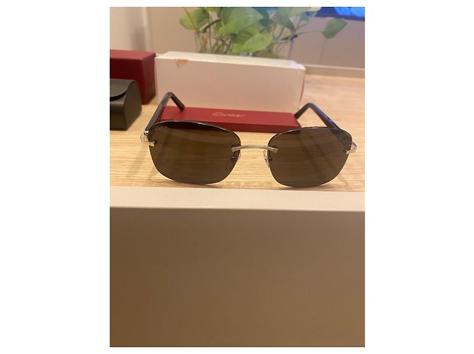 Occhiali da sole Cartier CT0227S Metallo Nero Argento - vista 18