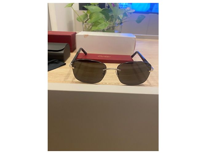 Occhiali da sole Cartier CT0227S Metallo Nero Argento - vista 19