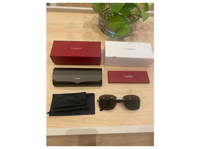 Occhiali da sole Cartier CT0227S Metallo Nero Argento - vista 2