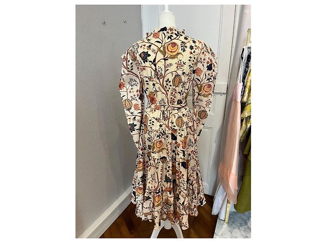 Abendkleid Nanette Daisy von Ulla Johnson. Mehrfarben Orange - Ansicht 2