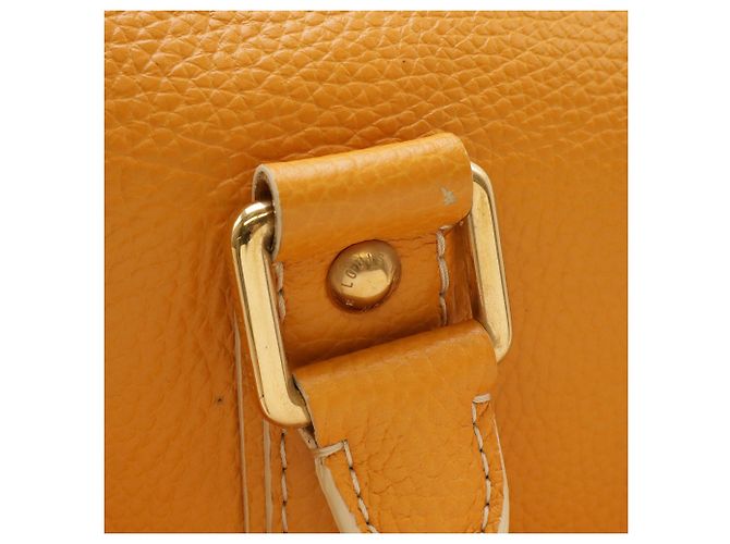Borsa Boston Carryall Tobaco Louis Vuitton Giallo - vista 7