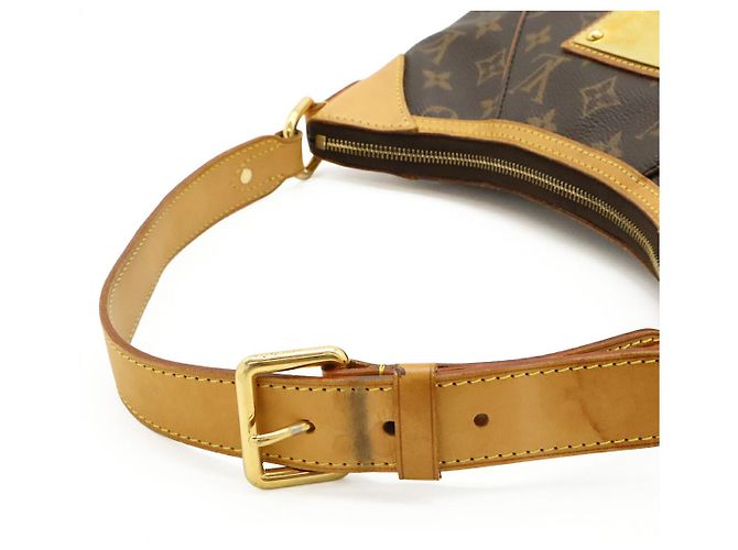 Borsa a spalla Monogram Thames PM di Louis Vuitton Marrone - vista 5