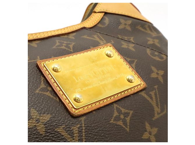 Borsa a spalla Monogram Thames PM di Louis Vuitton Marrone - vista 9