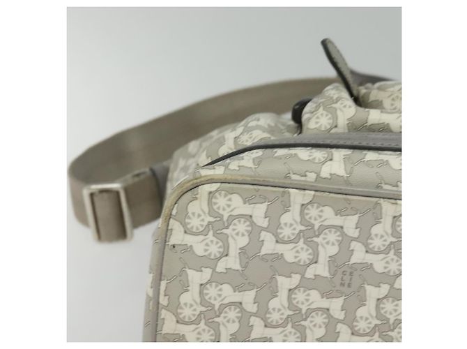 Céline Borsa a Spalla Sulky in PVC Grigio Argento Auth bs27193 Marrone - vista 10