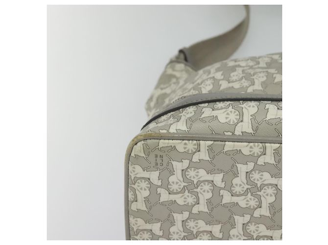 Céline Borsa a Spalla Sulky in PVC Grigio Argento Auth bs27193 Marrone - vista 12
