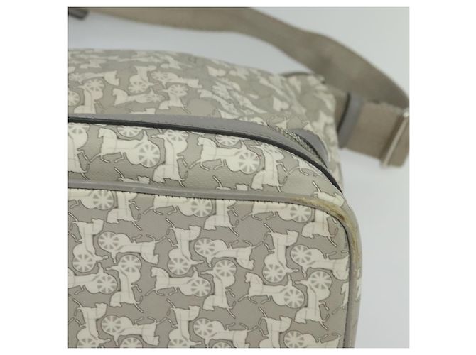 Céline Borsa a Spalla Sulky in PVC Grigio Argento Auth bs27193 Marrone - vista 13