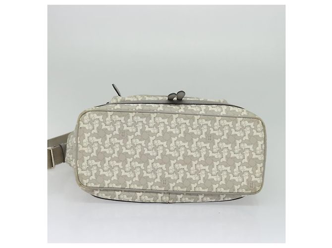 Céline Borsa a Spalla Sulky in PVC Grigio Argento Auth bs27193 Marrone - vista 9