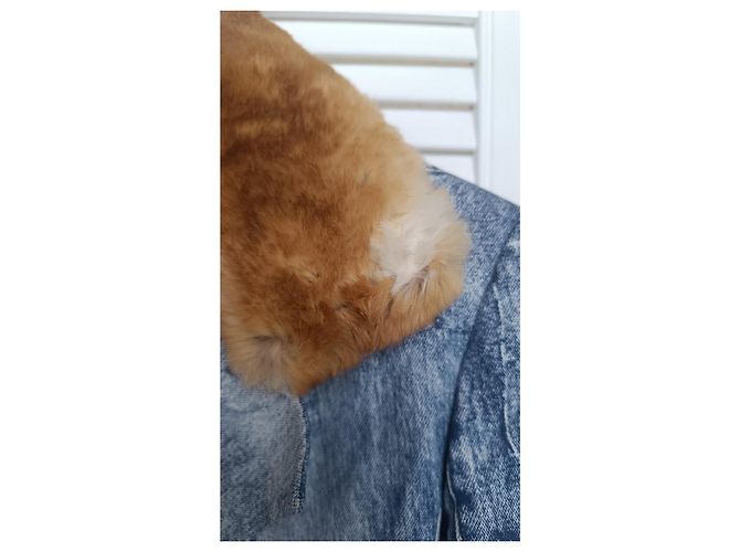 Chaqueta Christian Dior & Galliano 2001 Multicolor - vista 16