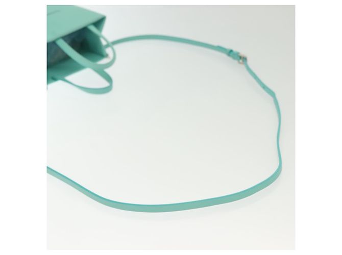 Autre Marque Tiffany&Co. Mini Borsa a Mano in Pelle 2in1 Blu Turchese Argento Auth 139063 - vista 9