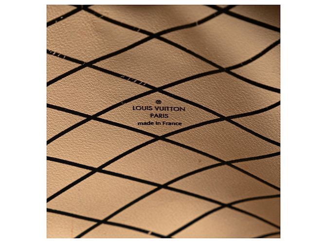 Clutch Trunk Monogramma Inverso Marrone Louis Vuitton - vista 5