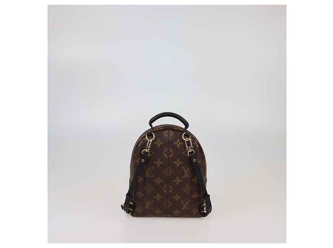 Zaino Mini Palm Springs in tela Monogram Louis Vuitton - vista 4