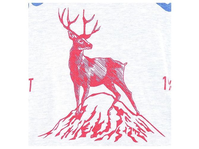 Autre Marque Camiseta de algodón MOUNTAIN CREW Dsquared2 Castaño Roja Azul Gris - vista 4