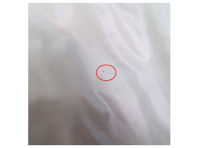 Chaleco de Plumas Moncler ACHARD Azul Azul claro - vista 18