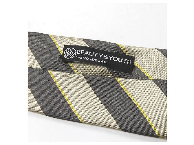 Autre Marque Cravatta in seta BEAUTY&YOUTH UNITED ARROWS Beige - vista 6