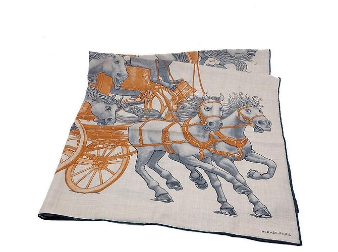 Hermès Carré 100 Grand Carros Royale Sciarpa in Seta e Cashmere Multicolore - vista 2