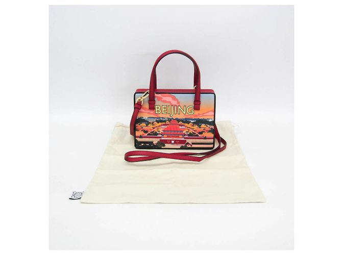 Borsa POSTAL Small Loewe BEIJIN 309.37.W85 Rosso Arancione - vista 2