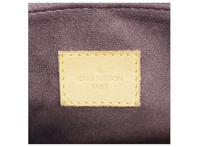 Borsa Tote Damier Pallas di Louis Vuitton - vista 5
