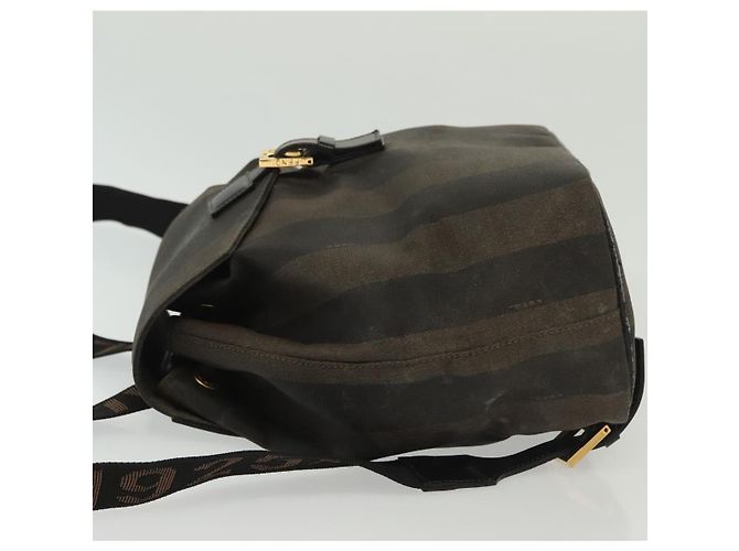 Pequin FENDI Pecan Canvas Rucksack PVC Braun Schwarz Gold Auth 139650 Golden - Ansicht 4