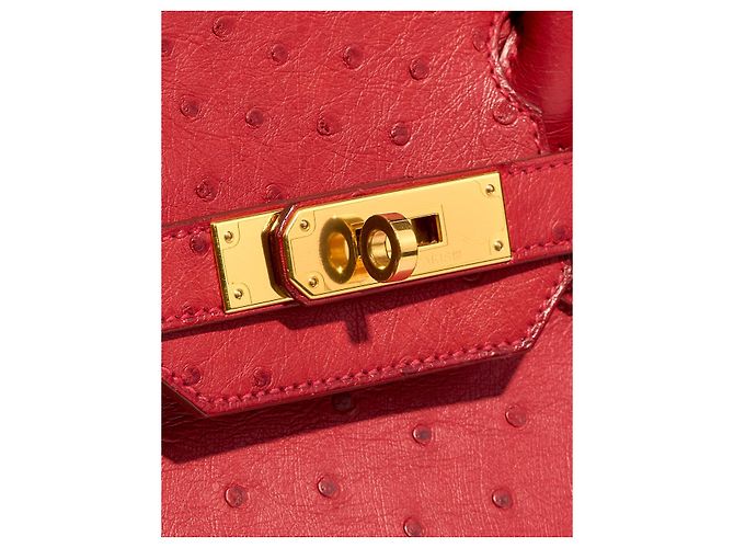 Hermès Borsa HERMES Birkin 30 in Pelle Esotica Rossa - 102894 Rosso - vista 6