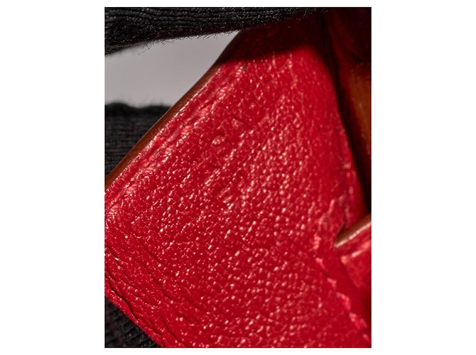 Hermès Borsa HERMES Birkin 30 in Pelle Esotica Rossa - 102894 Rosso - vista 8