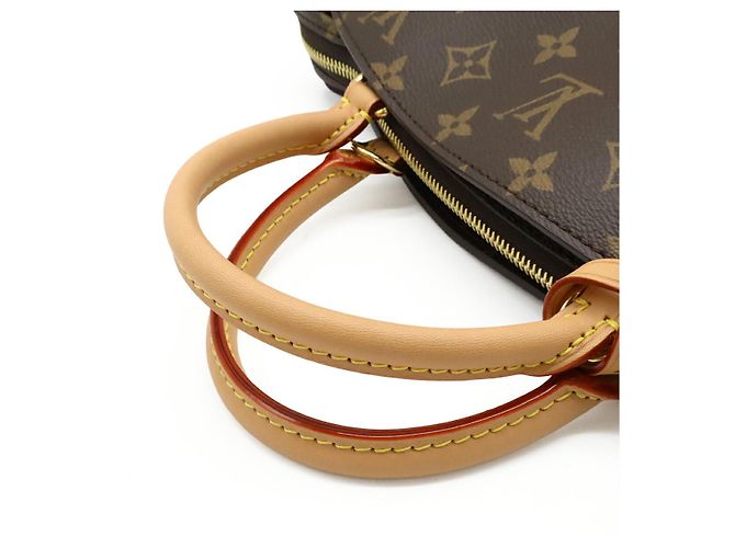 Borsa 2 in 1 Petit Palais Monogram Louis Vuitton Marrone - vista 4