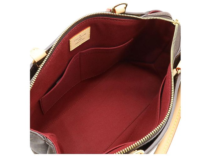 Borsa 2 in 1 Petit Palais Monogram Louis Vuitton Marrone - vista 6